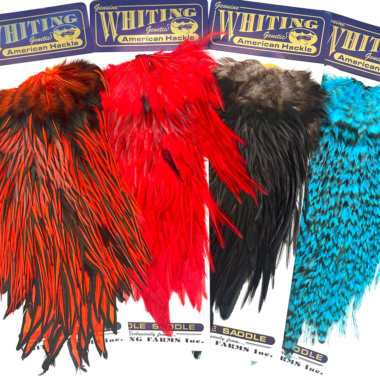 Immagine prodotto: WHITING AMERICAN ROOSTER SADDLE