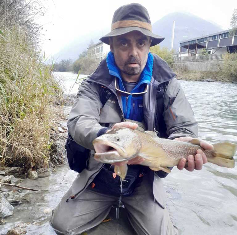 Immagine prodotto: AURINO TRATTO 220