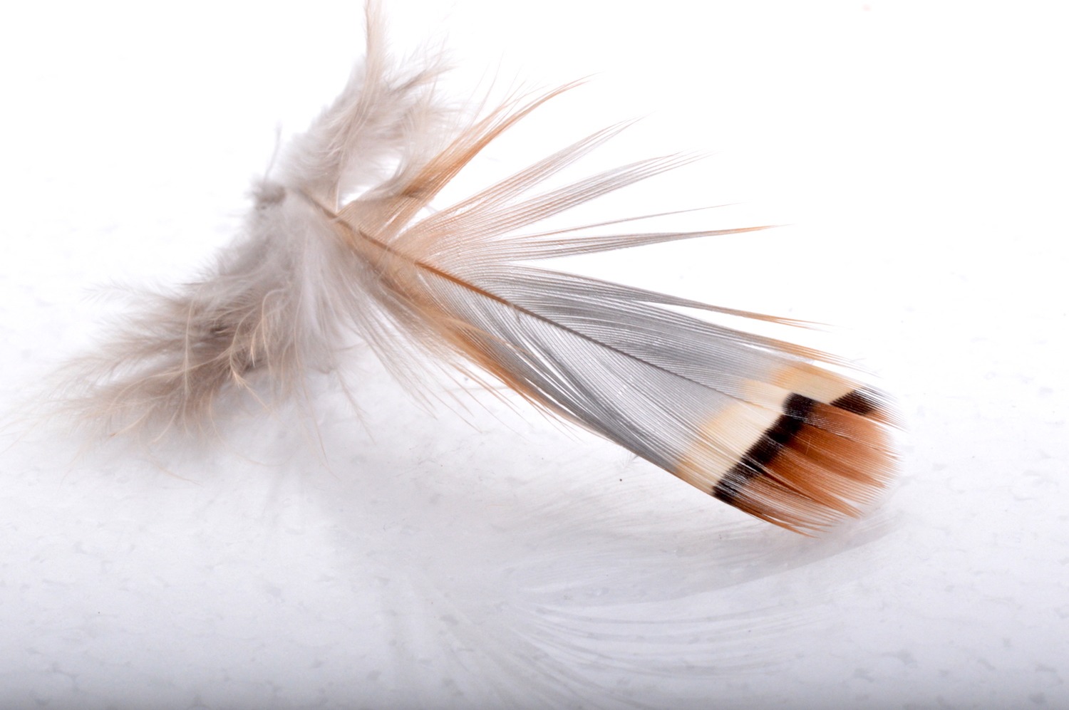 Immagine prodotto: CHUKAR NATURAL