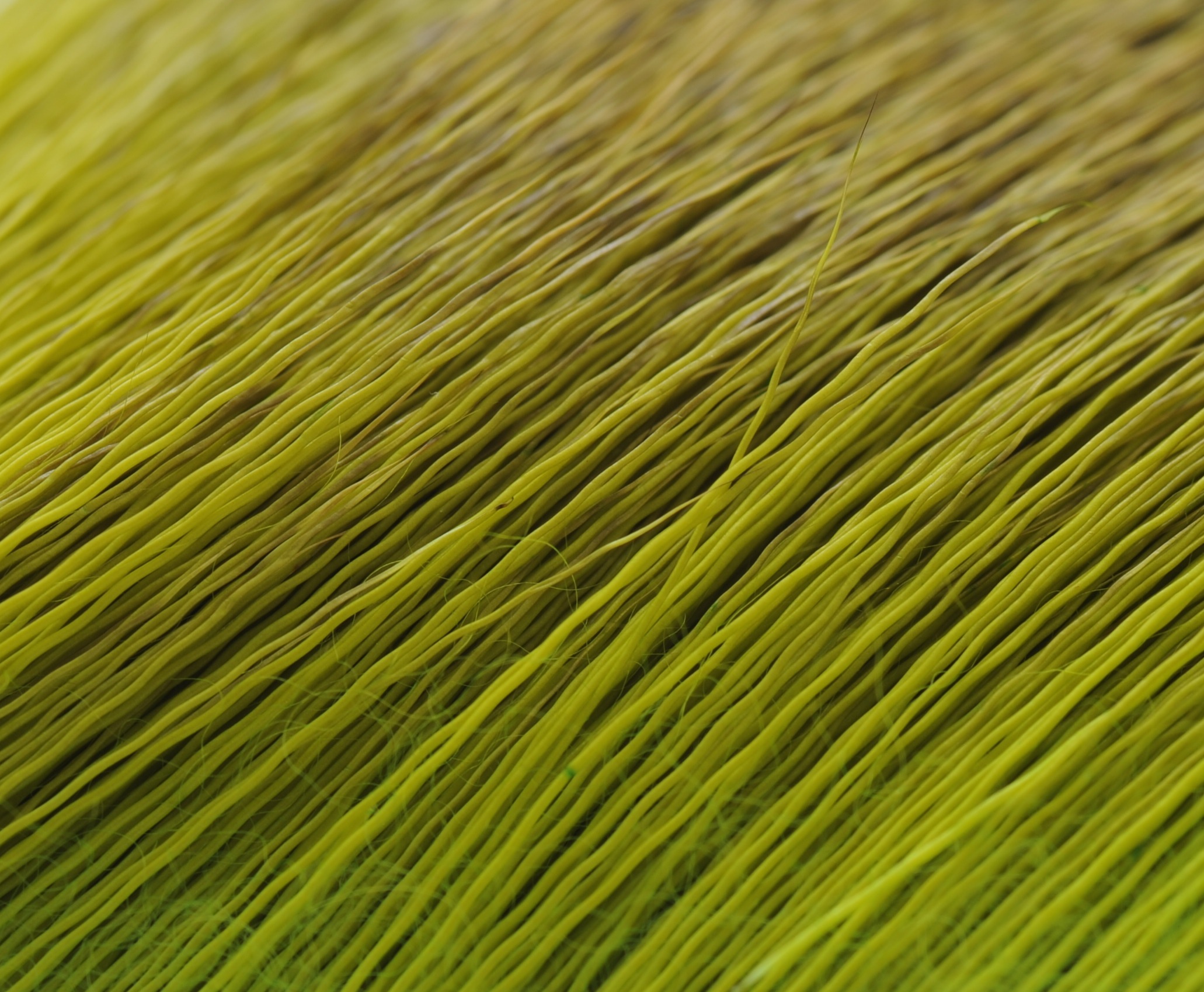 Immagine prodotto: DEER BODY HAIR