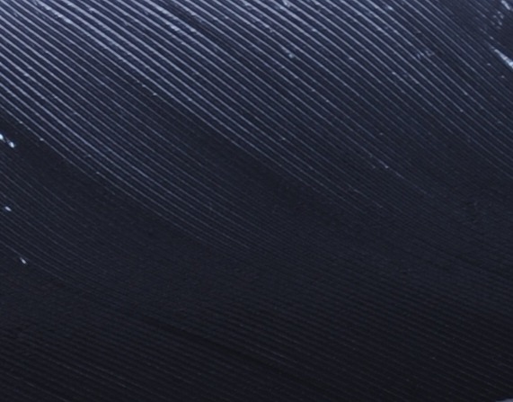 Immagine prodotto: DUCK QUILL