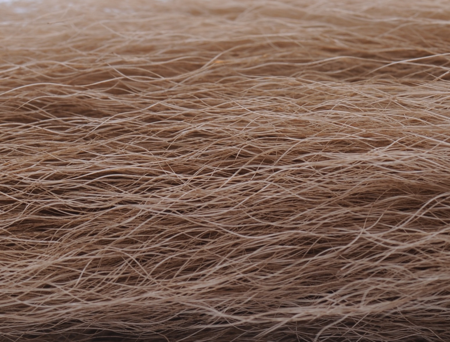 Immagine prodotto: KIPTAIL