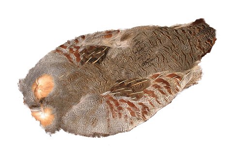 Immagine prodotto: WHOLE PARTRIDGE 1ST CHOICE
