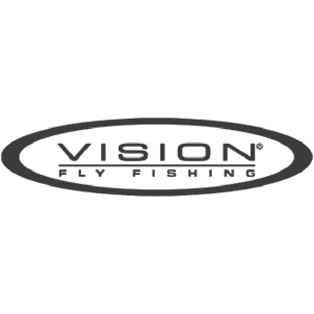 logo vision
