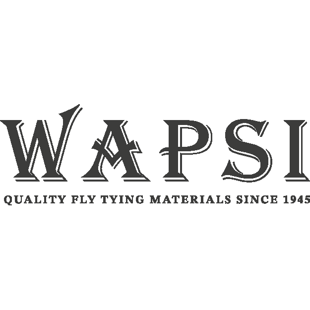 logo wapsi